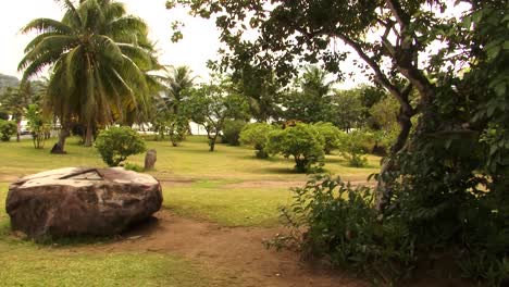 Raiatea-Marae,-Raiatea,-Gesellschaftsinseln,-Französisch-polynesien