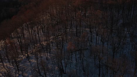 Drone-closeup-of-snowy-forest-mountain-ridge-at-sunrise