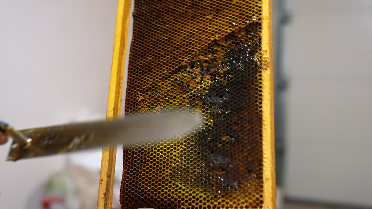 Apiarist cuts extra wax from the frame with dark honeycombs. Man rotates the frame to check if it's ready for honey extraction. Close up.