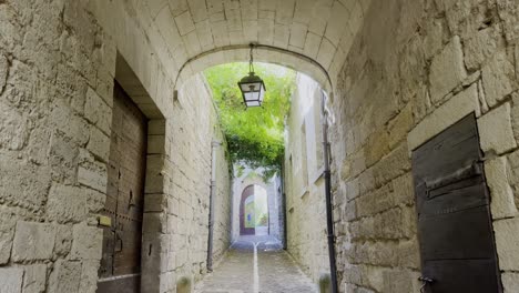 small beautiful historic alley in a beautiful town in france with stone archway and hanging plants in good weather