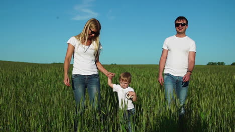 young parents go to the field with spikelets of wheat in white t-shirts and jeans