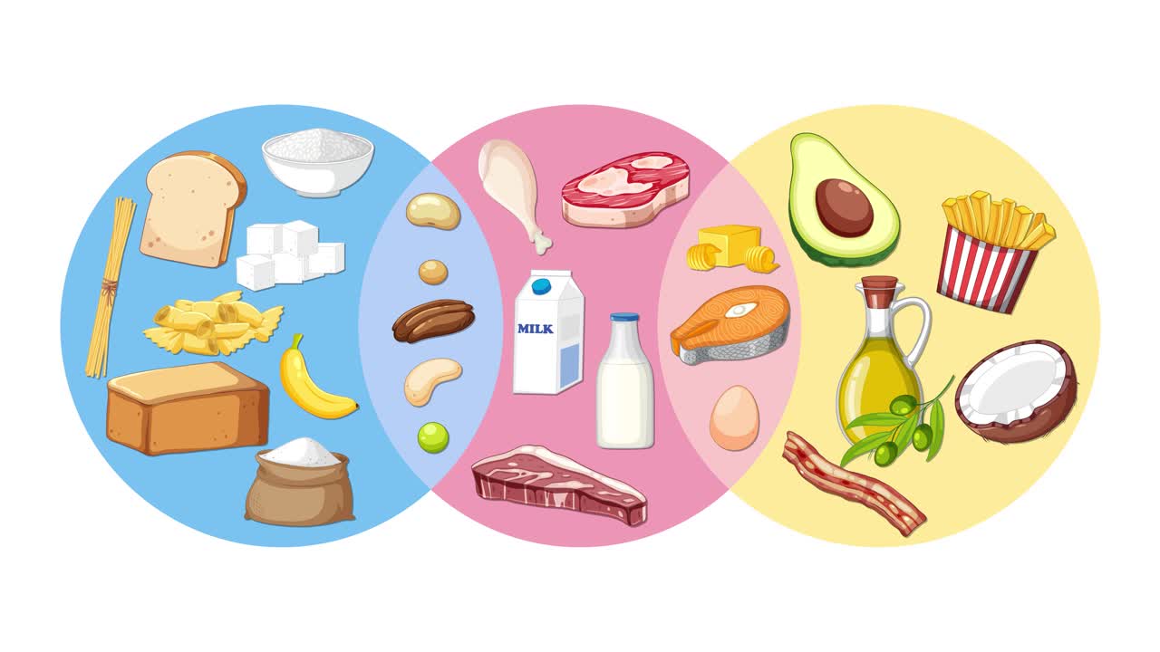 Three food groups animate into overlapping Venn diagram circles, illustrating classification and similarities