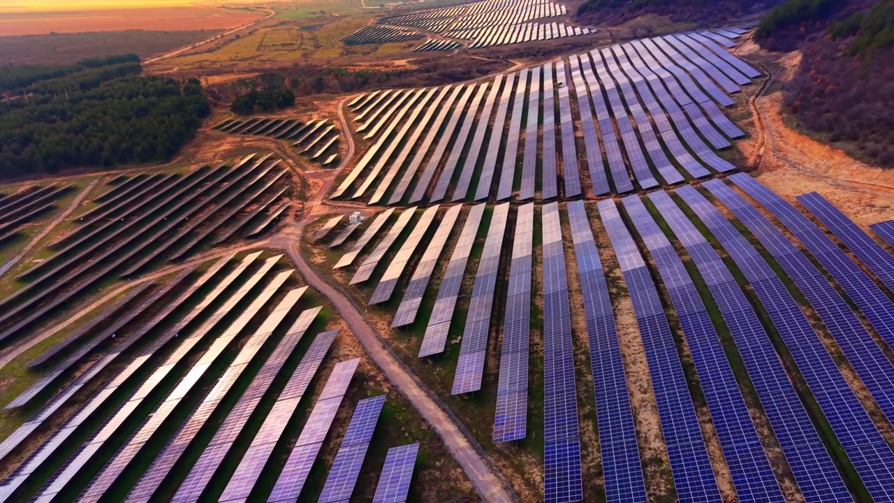 Solcellepark ved solnedgang med græssende kvæg på dalbunden, Bulgarien. Dronebillede af rækker af reflekterende paneler ved siden af grønne græsgange, kvægflok synlig, orange og lilla himmel over hovedet.