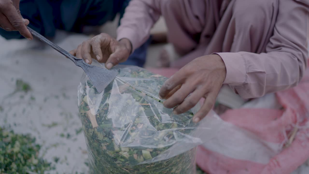 Close-up of a sugar cane chopping machine in a Punjab village farm India. This agricultural equipment is used for harvesting and processing crops in the rural farming community
