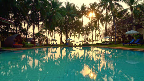 beautiful-palm-tree-with-umbrella-chair-pool-at-sunrise-times