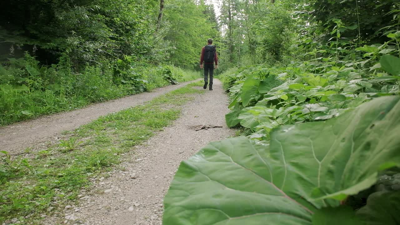 비포장 도로를 걷는 남자 산에서 카메라 배낭