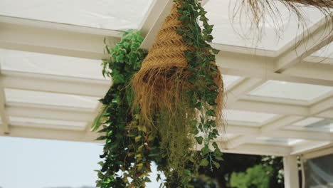 hanging wicker planter with lush greenery