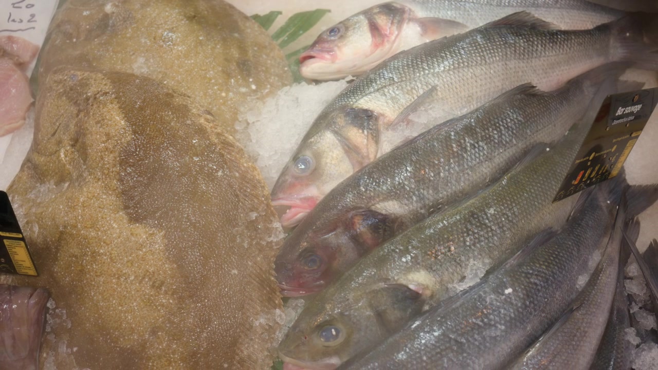 Turbot and whole sea bass displaying fresh catch on a bed of crushed ice, ready for sale at a seafood market stall