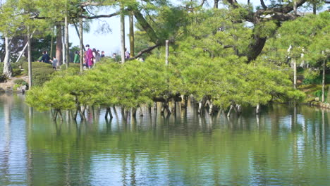 日本卡納扎瓦的肯魯肯花園周圍的風景