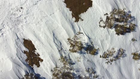 Orthogonale-Ansicht-Von-Schnee-Und-Vegetation-In-Alpiner-Höhe