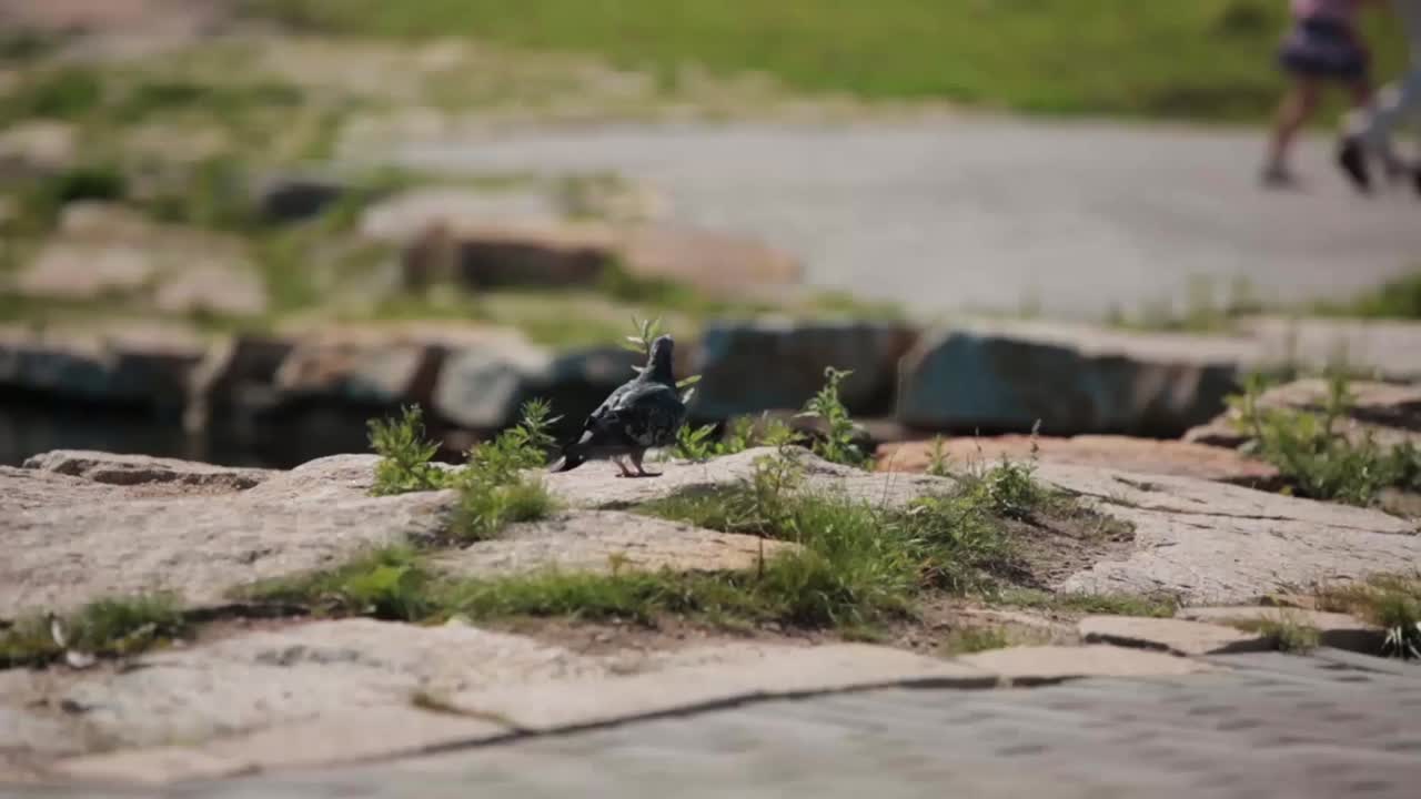 자연 온천 에서 휴식을 취 하는 사람 들