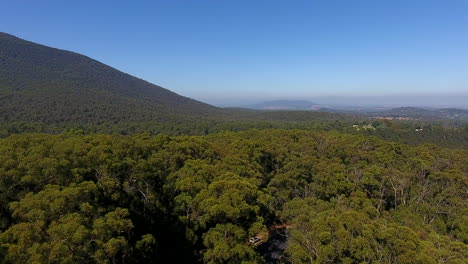 Flying-over-rural-forest