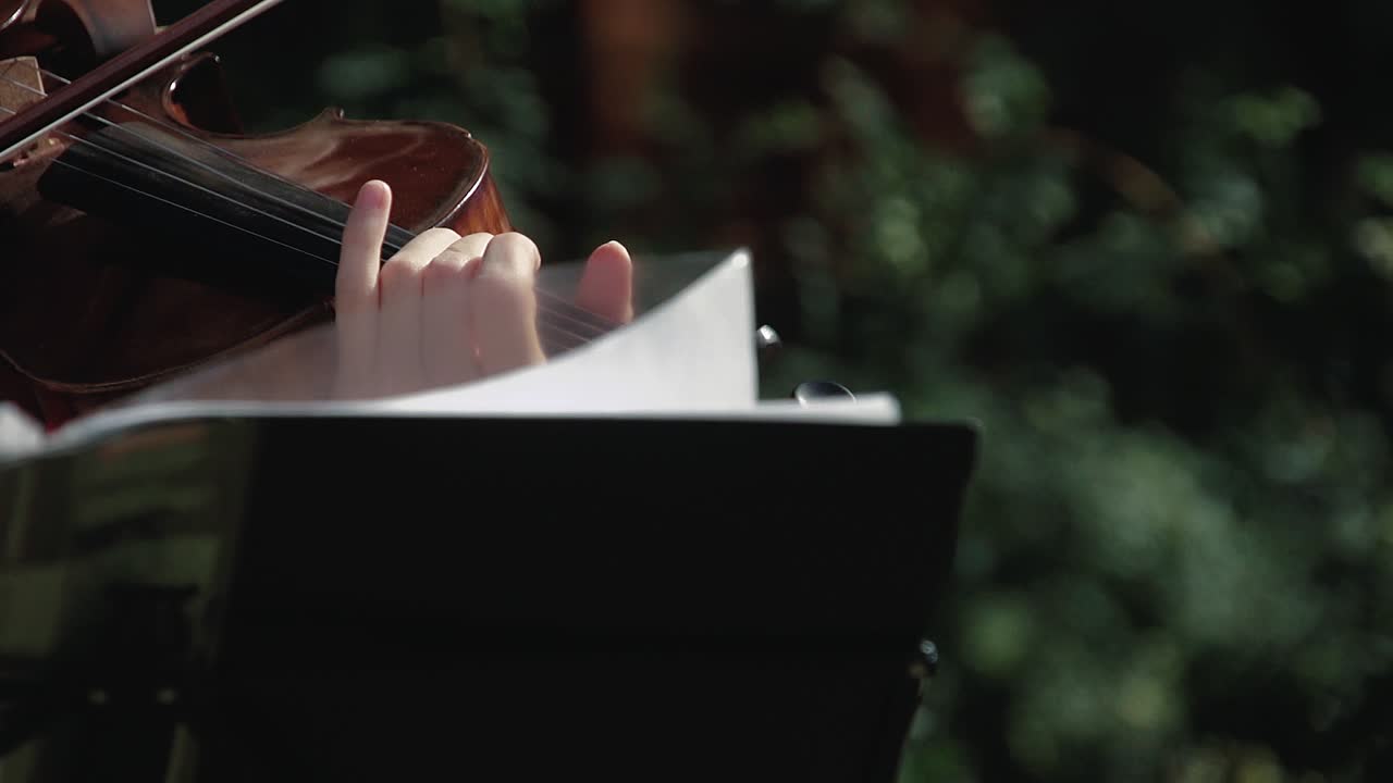 joven violinista bonita tocando el violín como parte de un grupo