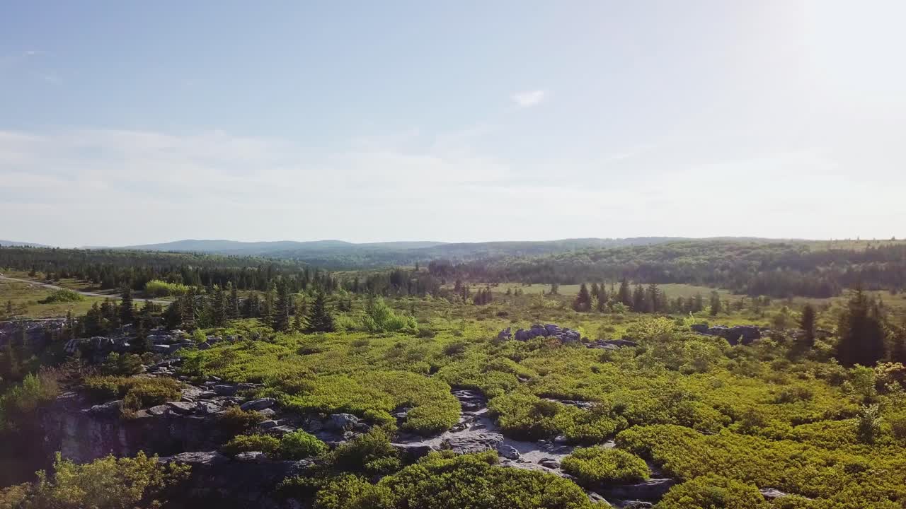 volando sobre rocas escarpadas y pinos en la cima de la montaña, aéreo, dolly sods, 4k cinematográfico