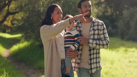 Walking,-family-pointing-and-excited-in-nature