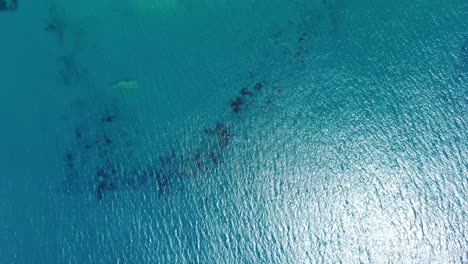 Aerial-over-yacht-on-crystal-clear,-calm-and-transparent-blue-water-of-a-sea-on-bright-sunny-day