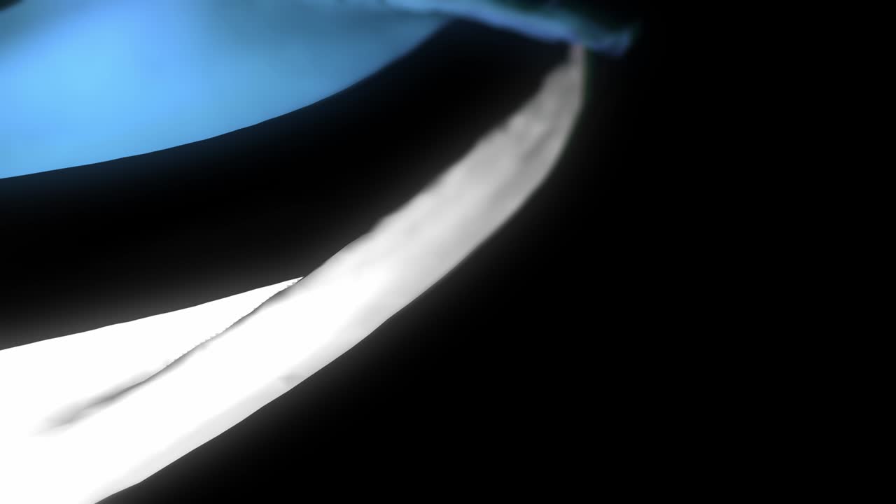 에스토니아 발: 발을 흔들고 있는 현실적인 3d 애니메이션, 에스토니아의 국기 바람에 흔들리고 있는 3d 애니메이션