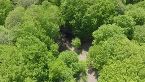 Overhead drone shot of the oak forest of Strandzha mountain where the cultic mysterious complex of Mishkova Niva is located in Bulgaria