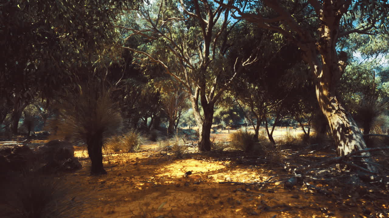 Esplora un sereno paesaggio naturale con la luce del sole che filtra tra gli alberi