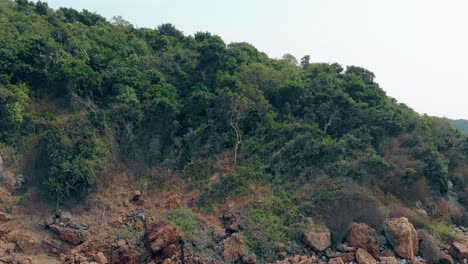 flycam-moves-to-island-forest-stones-and-ocean-blue-water