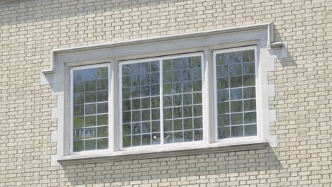 decorative manor house lead strip window reflecting lush gardens trees on geometric white brick wall