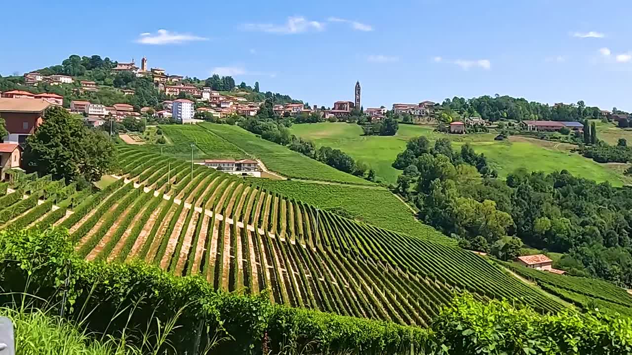 Neat vineyard rows stretch across rolling hills with scattered countryside homes under a clear blue sky.