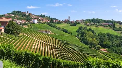 neat vineyard rows stretch across rolling hills with scattered countryside homes under a clear blue sky.