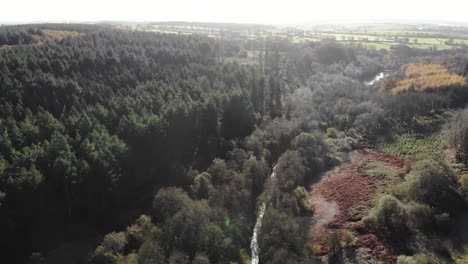 aerial flying over woodland forest located in blackdown hills area of outstanding natural beauty south of otterford in somerset