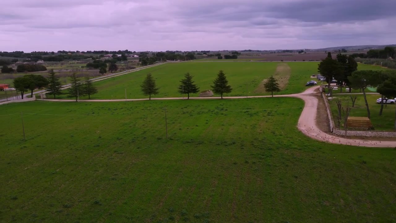 Campos agrícolas verdes de Sterlinga y camino de tierra rural bajo un cielo nublado
