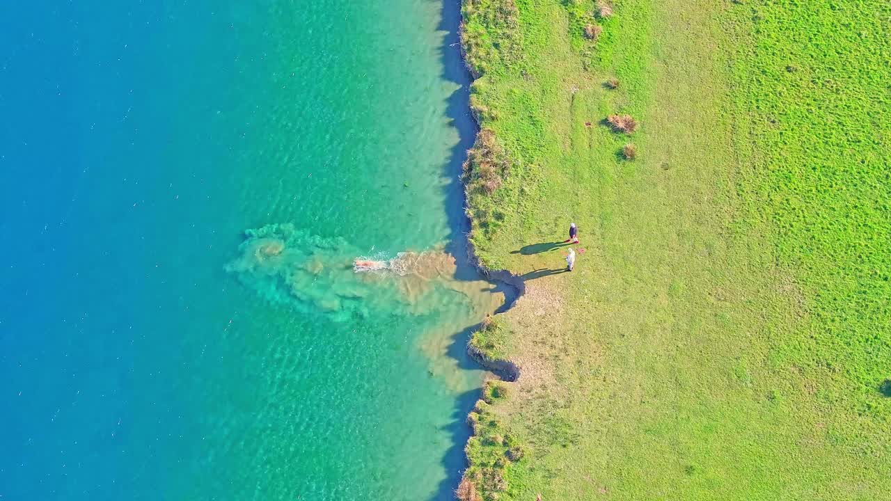 Aerial: couple walking their dog next to the lake during the day in Rother Valley Country Park in the Metropolitan Borough of Rotherham, South Yorkshire, England, pan drone shot