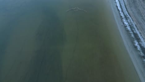 Birds-flying-over-calm-lake