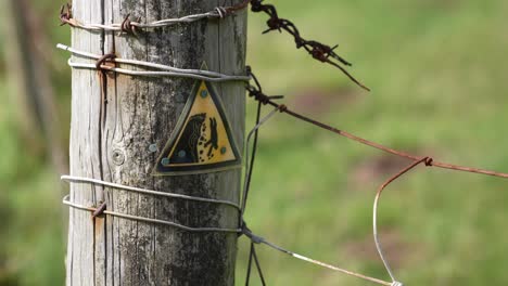 cliff edge danger warning sign on wooden pole on hiking trail