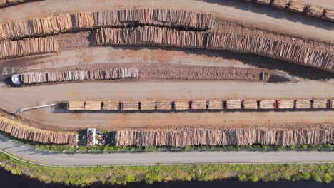 top down aerial fly-over timber yard with stacked logs, commercial logging