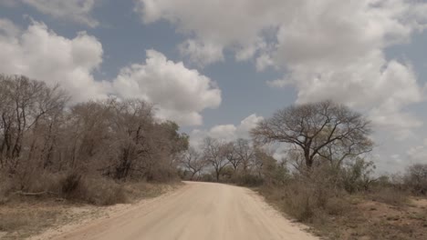 pov: driver view of sepia tinted dry african bushveld road in autumn