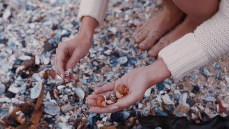 close up woman hands collecting seashells on beach enjoying beautiful natural variety tourist holding shells