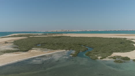 aerial view of mangrove forests and coastal landscape with distant city