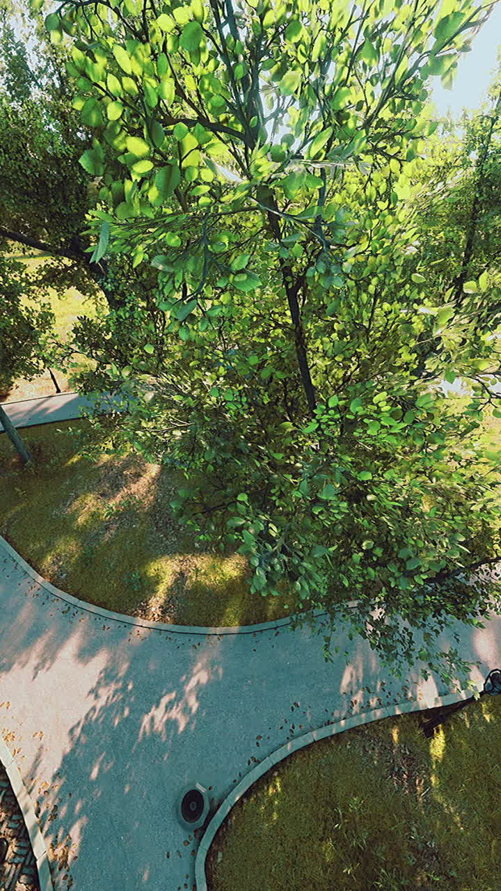 Serene park pathway illuminated by sunlight in vibrant green surroundings