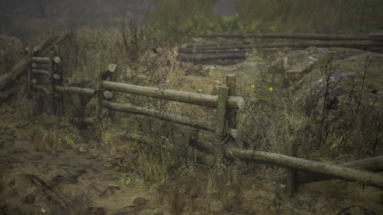 Weathered wooden fence surrounded by overgrown vegetation in rural area