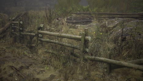 weathered wooden fence surrounded by overgrown vegetation in rural area