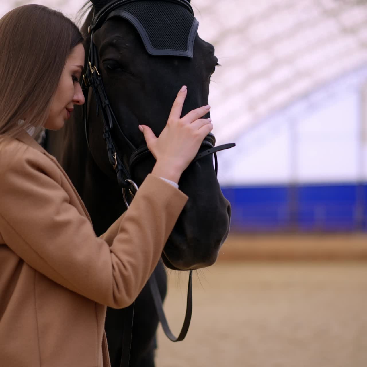 Beautiful jockey with horse. Countryside rancho training horse