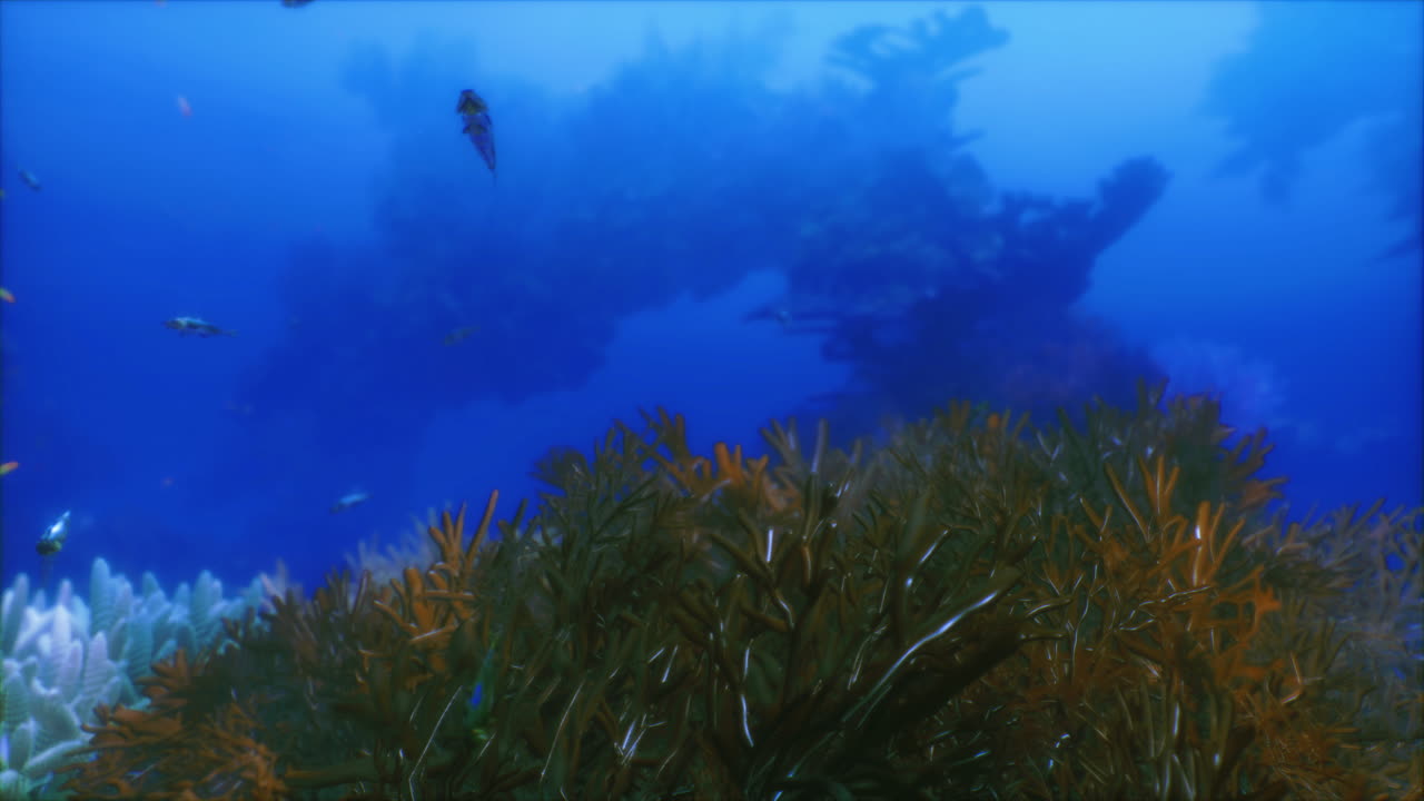 Diverse underwater ecosystem featuring vibrant coral and sea flora