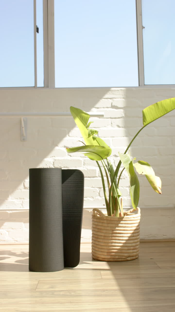 Vertical video: Yoga mat standing next to potted plant in sunlit studio, copy space