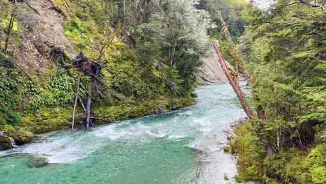a steady camera captures a turquoise glacial river winding through a lush, moss-covered forest gorge in soft daylight, highlighting vibrant greenery and dynamic water movement