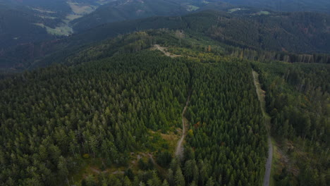 aerial view of the top of the hills with the forest lying below and lots of smaller peaks and nature