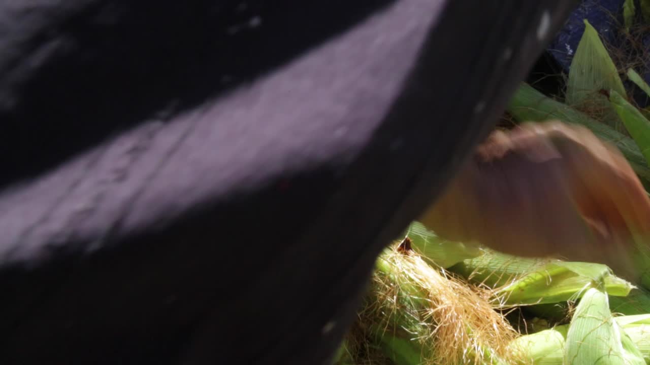 el hombre prepara el maíz para venderlo en el mercado matutino, en capelinha, minas gerais, brasil