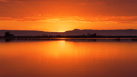 sunset in the flooded rice fields of la albufera with birds flying