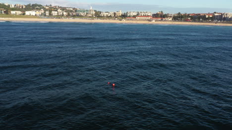 Línea-De-Tambores-De-Tiburones-En-Bondi-Bay,-Sydney,-Australia