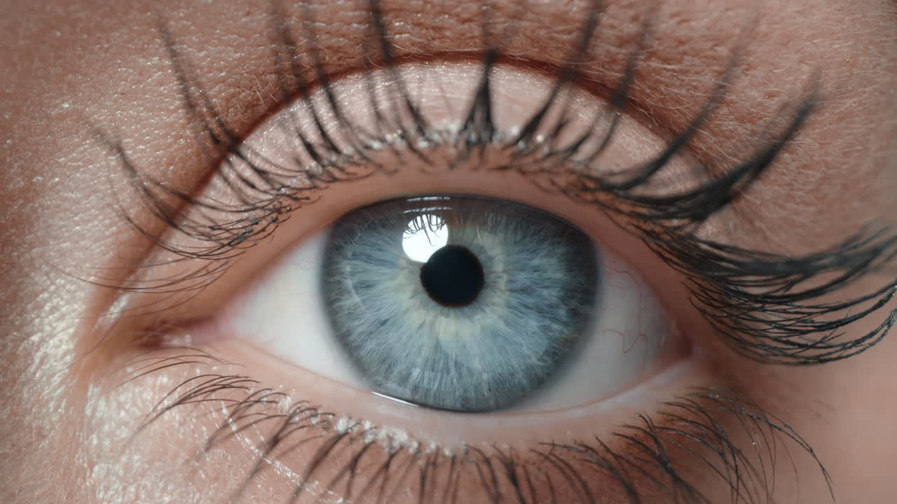 인간 눈의 마크로 오프닝 아이리스 (아름다운 파란 눈, 건강한 시력, 인식 개념)