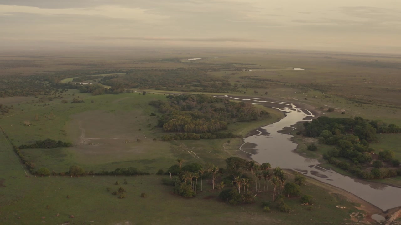 Video drone cattura un'alba dorata che illumina un fiume sinuoso e con poca acqua attraverso le lussureggianti zone umide dell'Orinoquía Llanos Orientales in Colombia.