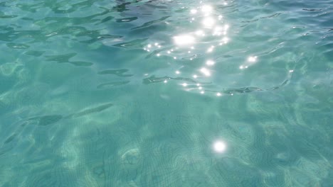 Swimming-Pool-Water-in-Slow-Motion